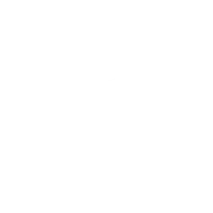 White logo for Wellness Hills Mental Health Treatment in New Jersey.