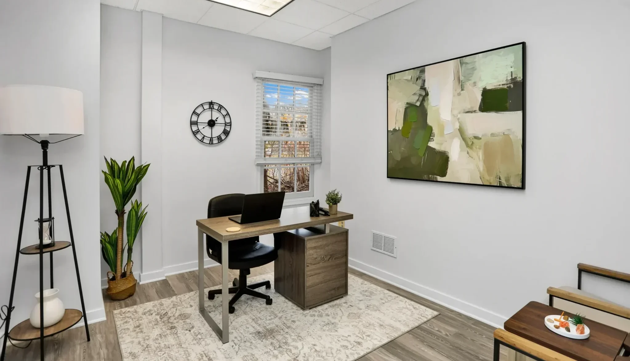 Primary Therapist office at Wellness Hills Mental Health.
