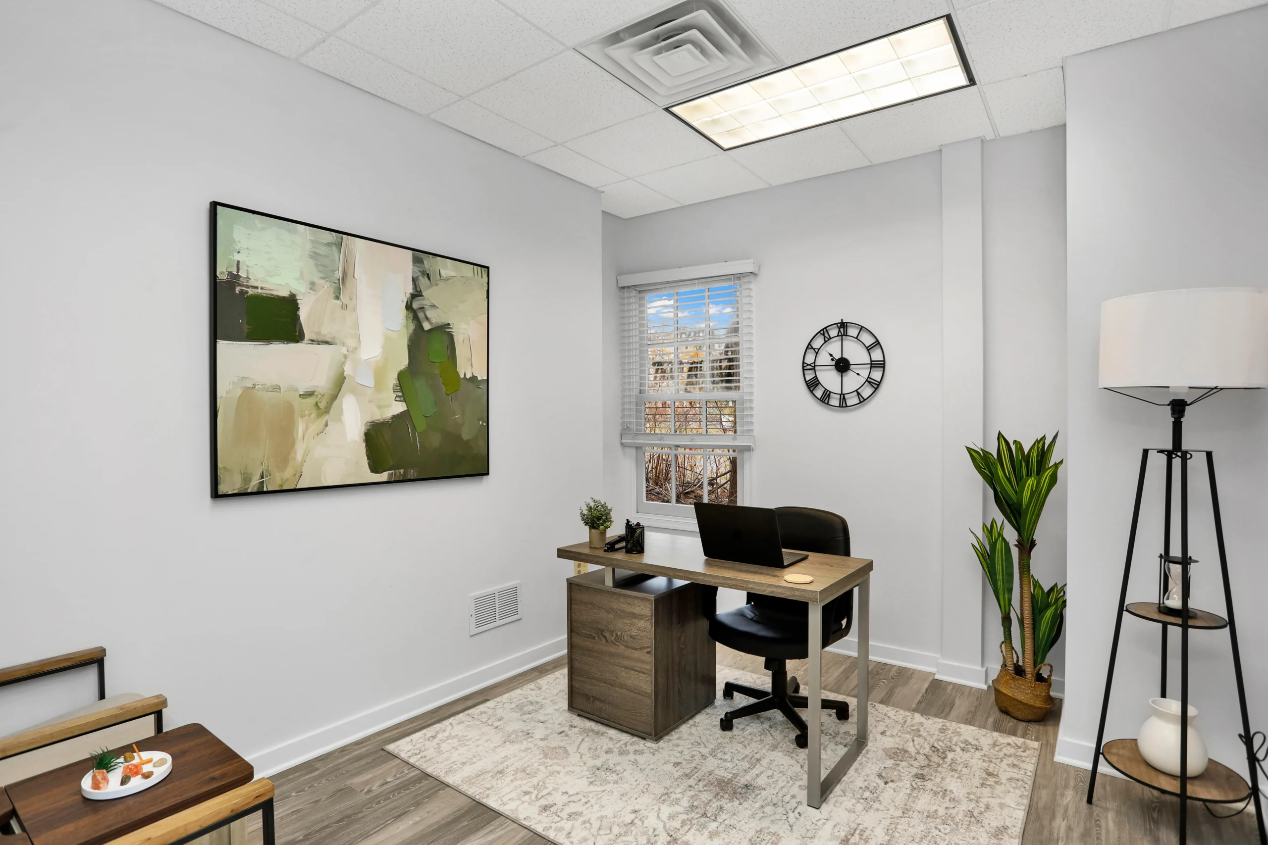 Primary Therapist office at Wellness Hills Mental Health.