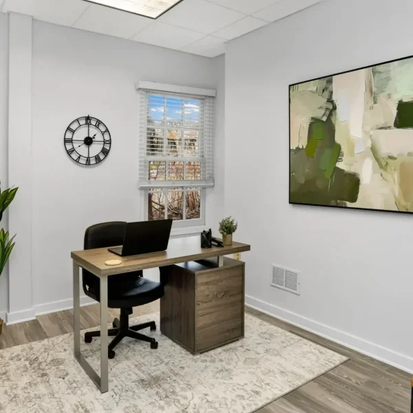 Primary Therapist office at Wellness Hills Mental Health.