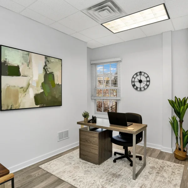 Primary Therapist office at Wellness Hills Mental Health.