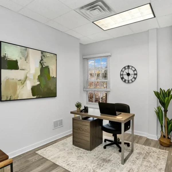 Primary Therapist office at Wellness Hills Mental Health.